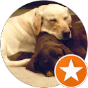 Sean Doherty profile picture