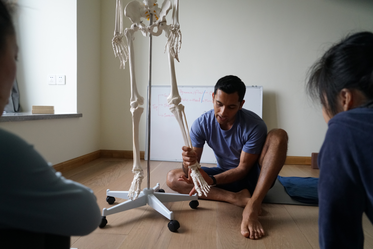 Anatomy Lesson - Yoga Teacher Training in China