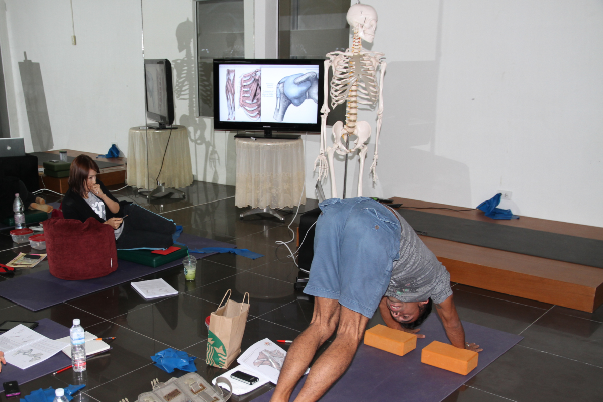 Anatomy lesson - Yoga Teacher Training in Phuket